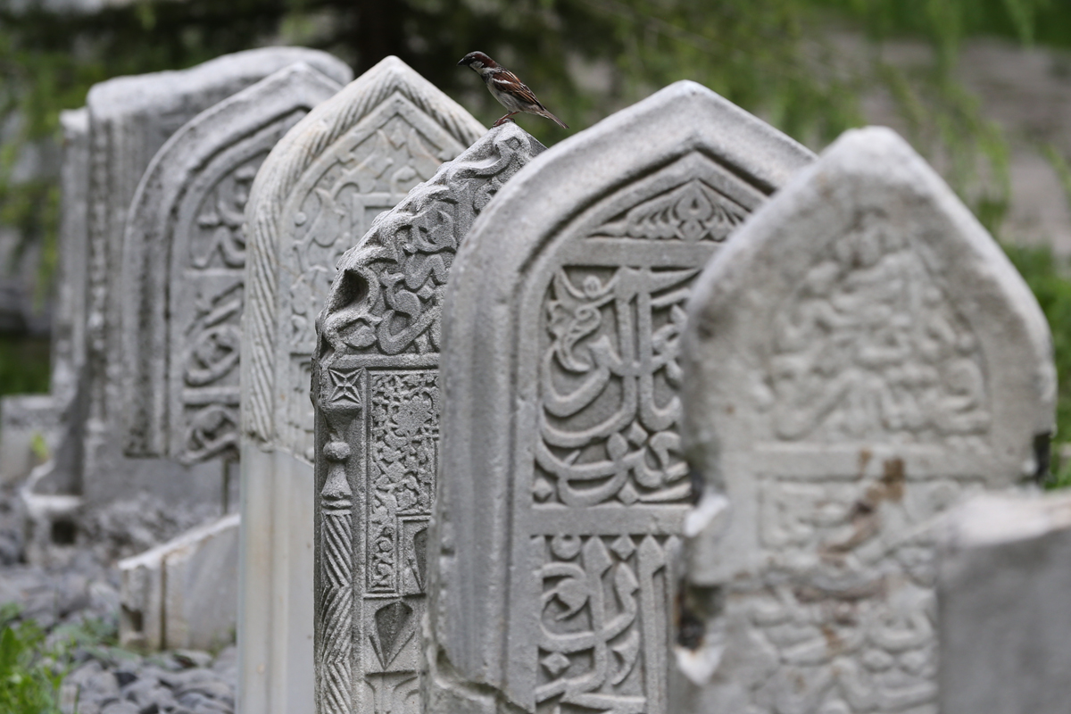 Sıkça Sorulan Sorularla Mezar Bakımı Rehberi